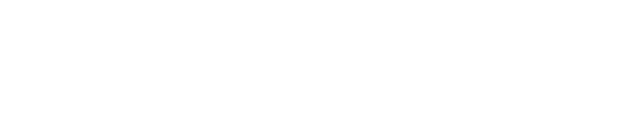 BEENOS Group